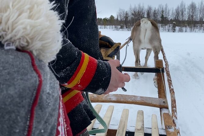 Full-Day Reindeer Tour with Pickup in Kiruna - What the Sámi cultural element adds