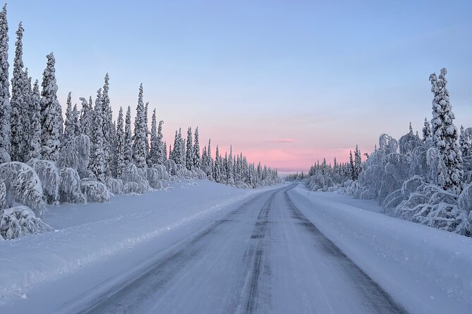 Full-Day Reindeer Tour with Pickup in Kiruna - Who will enjoy this experience most