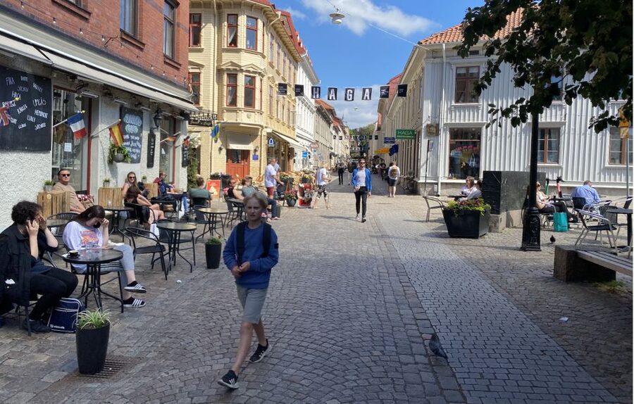 Gothenburg: Private Walking Tour with a Guide - Hotel pickup, walking time, and practical details