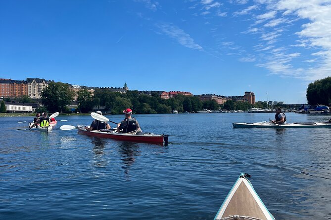 Guided Kayak Tour in Central Stockholm - Wind, rain, and the honest effort involved