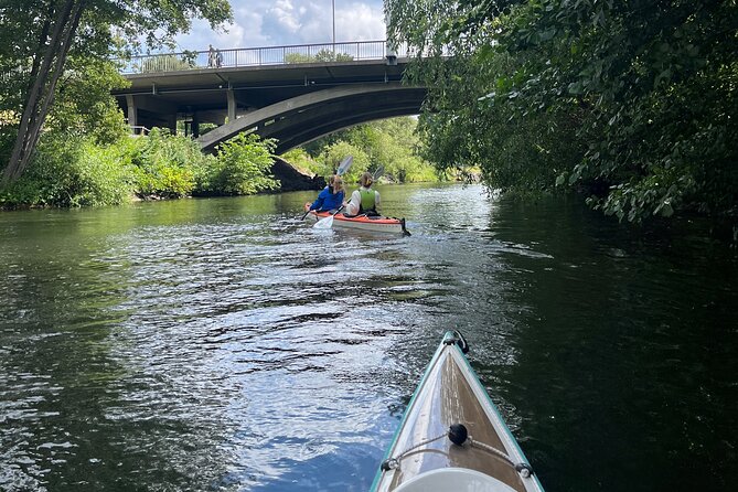 Guided Kayak Tour in Central Stockholm - How the $78.14 price holds up