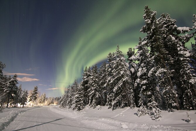 Guided Northern Lights Tour at Kiruna - Why the guide matters more than the vehicle