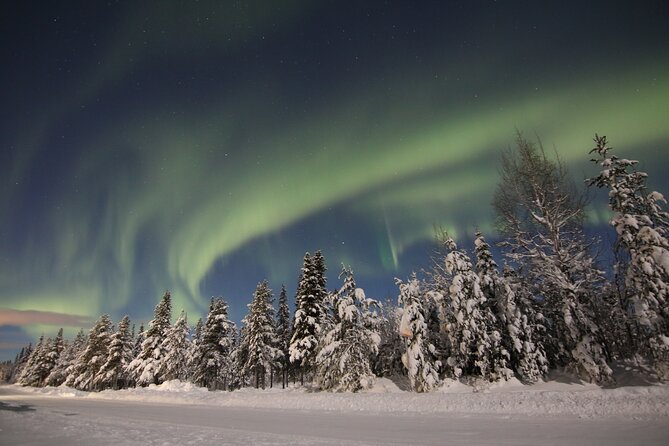 Guided Northern Lights Tour at Kiruna - Is $192.59 a fair price?