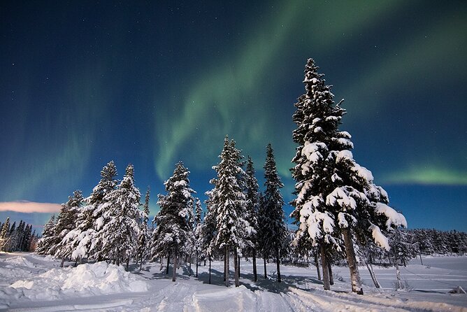 Guided Northern Lights Tour at Kiruna - Waiting in the cold without losing your patience