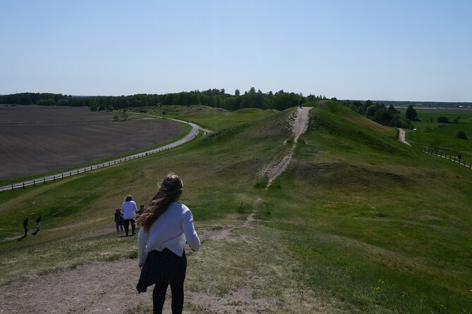 Guided tour 90min at Old Uppsala mounds and old Uppsala church - Why Old Uppsala matters beyond the burial mounds