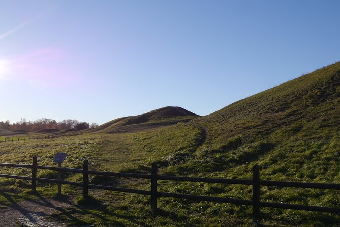 Guided tour 90min at Old Uppsala mounds and old Uppsala church - Walking the mounds with the Vendel Period in view