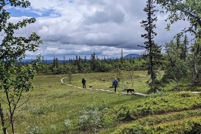 Half Day Guided Walk with Huskies - The route toward Ridvadet