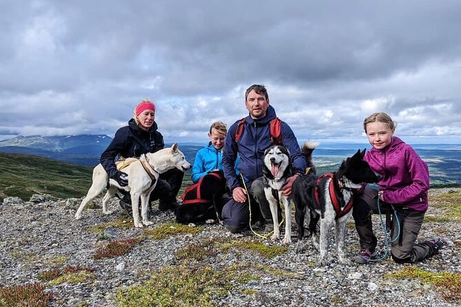 Half Day Guided Walk with Huskies - The views toward Vålådalen and Lundörren