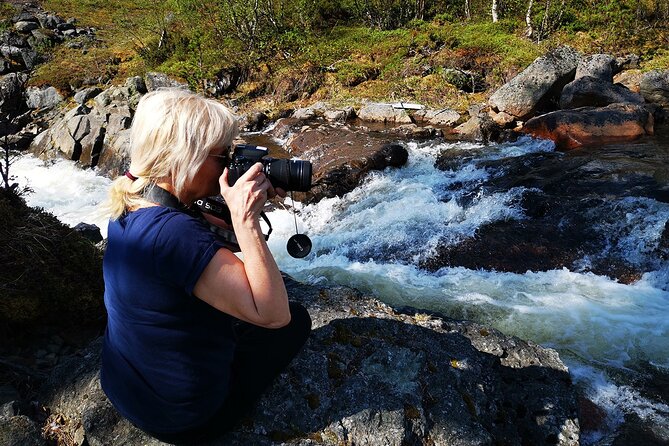 Half day Wildlife and Nature Photography - A Four-Hour Search for Arctic Wildlife