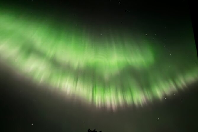 Husky Sled Ride Northern Lights Tour from Kiruna - Why the husky ride is the real attraction