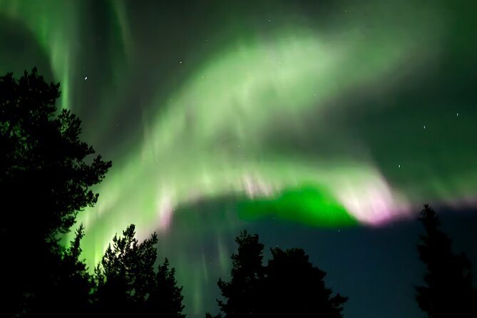 Husky Sled Ride Northern Lights Tour from Kiruna - The tipi stop, fire, coffee, and sky