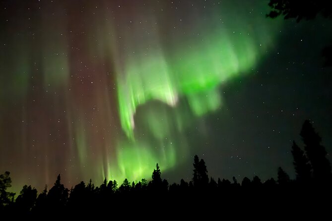 Husky Sled Ride Northern Lights Tour from Kiruna - What the supplied winter gear means for you