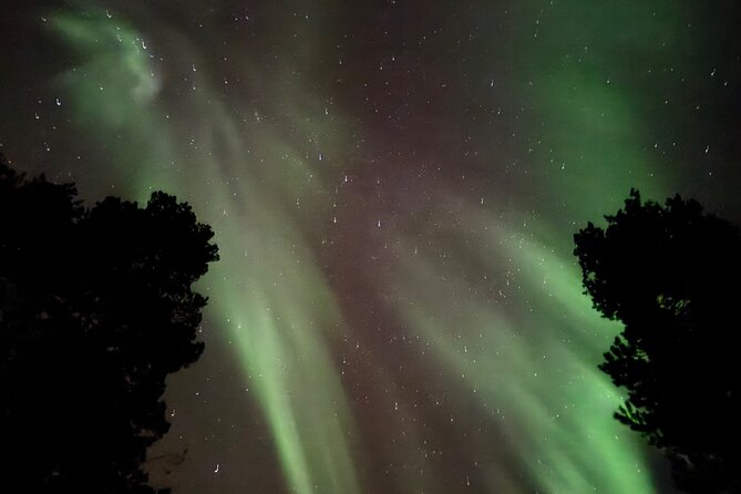 Husky Sled Ride Northern Lights Tour from Kiruna - Is $194.04 a fair price?