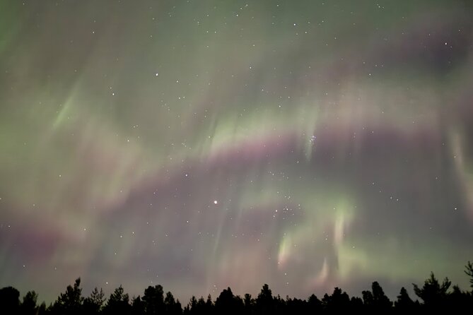 Husky Sled Ride Northern Lights Tour from Kiruna - Who should book this Kiruna outing?