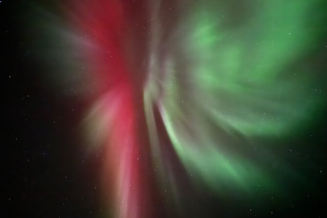 Husky Sled Ride Northern Lights Tour from Kiruna - From the kennel to the snowy wilderness