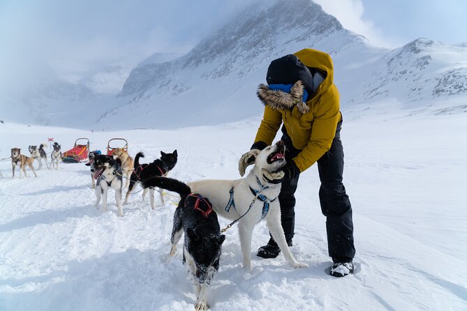 Husky Sledding Tour - Sledding through the open northern scenery