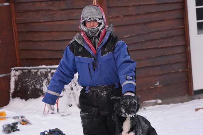 Husky Tour Sit and Drive Combo Tour from Kiruna - The dogs are more than a photo opportunity