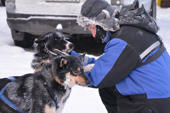 Husky Tour Sit and Drive Combo Tour from Kiruna - What the four-hour timing really includes