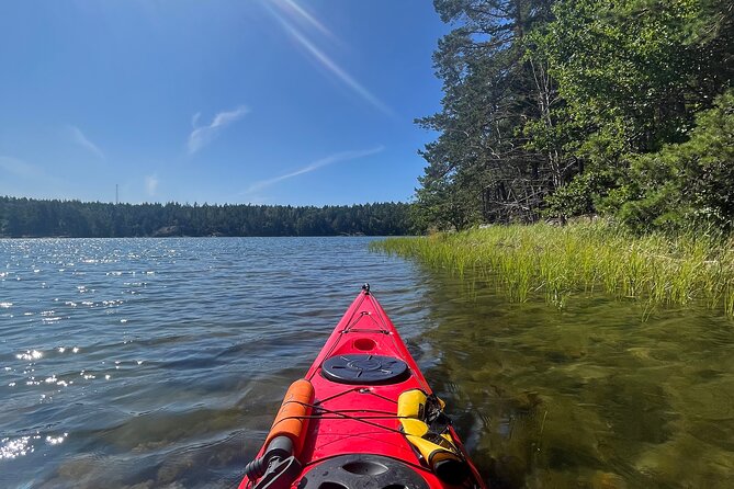 Kayak Tour in the Stockholm Archipelago with Lunch Meal - Who should book this archipelago outing?