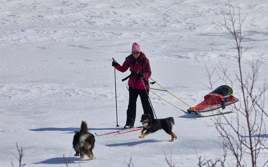 Kiruna: Cross-Country Skiing Tour with a Guide - Key points at a glance