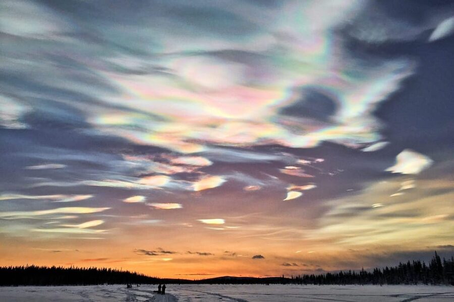 Kiruna: Morning Husky Sled Ride with Coffee Break - What Happens if the Snow Is Poor