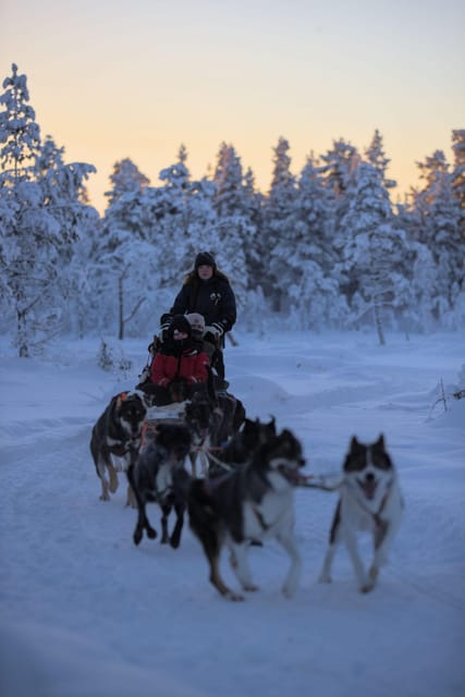 Kiruna: Morning Husky Sled Ride with Coffee Break - Who Will Enjoy This Kiruna Tour