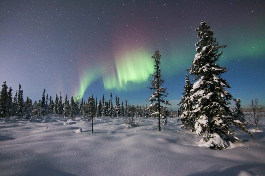 Kiruna: Northern Lights Minivan Chase with Warm Drink - Warm drinks and Lapland delicacies