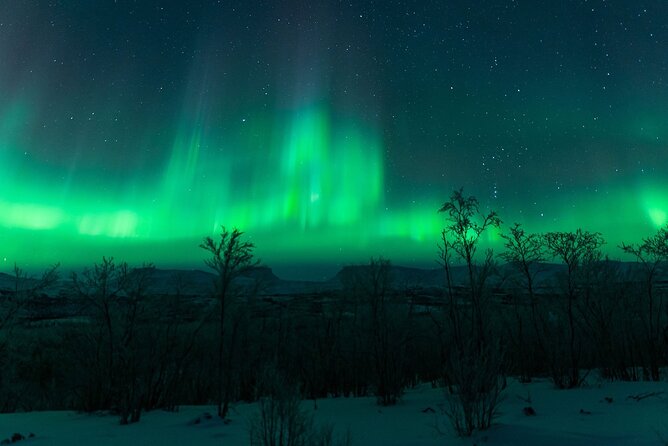 Kiruna Northern Lights Tour with Photographer - The photography is a major reason to pay the price