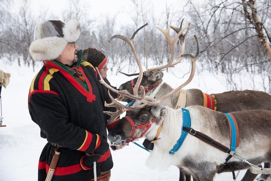 KIRUNA: Sami Reindeer Experience - Should you book it?
