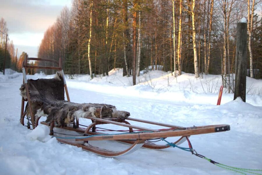 Luleå: Guided Dog Sledding Tour - Coffee in the Grill Hut