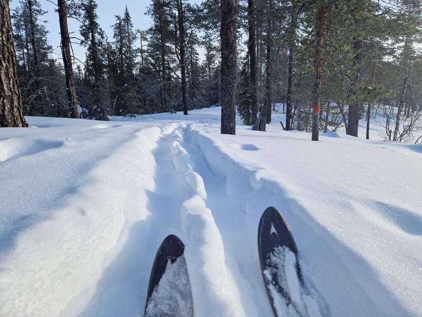 Luleå: Nordic Touring Skiing Adventure - Skiing beyond the groomed track