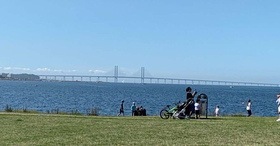 Malmö: 3-Hour Guided Walking Tour - Ribersborg Beach and the Øresund Bridge