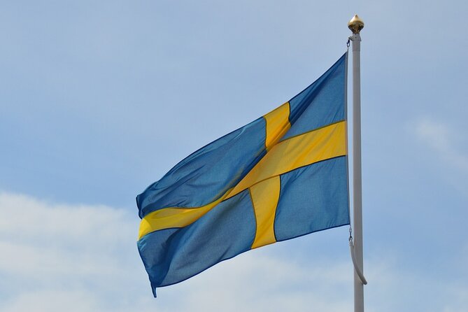 Malmö Walking Tour: Explore Top Sights & Hidden Gems - Möllevångstorget: start with Malmö’s daily life
