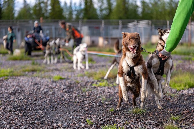 Meet 70 Huskies and Enjoy a short ATV Tour with the Huskies - Is $192.31 a fair price?
