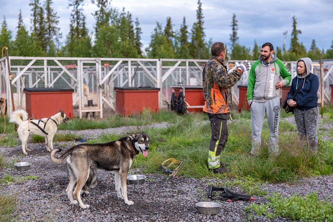 Meet 70 Huskies and Enjoy a short ATV Tour with the Huskies - What the dogs teach you about Arctic life