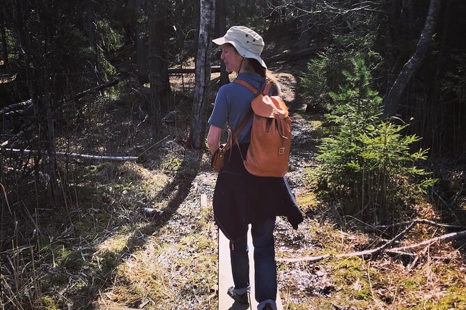 Midnight Sun and Campfire - National Park evening hike Stockholm - From Stockholm Cityterminalen to Tyresta’s forest