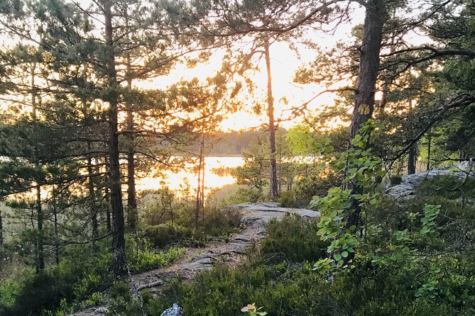 Midnight Sun and Campfire - National Park evening hike Stockholm - Walking through Tyresta National Park