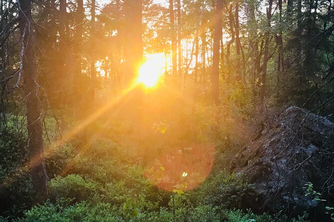 Midnight Sun and Campfire - National Park evening hike Stockholm - Booking, weather, and cancellation details