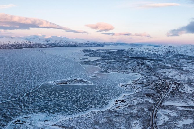 Morning hike in Abisko National Park - Reading tracks, footprints, and Arctic wildlife