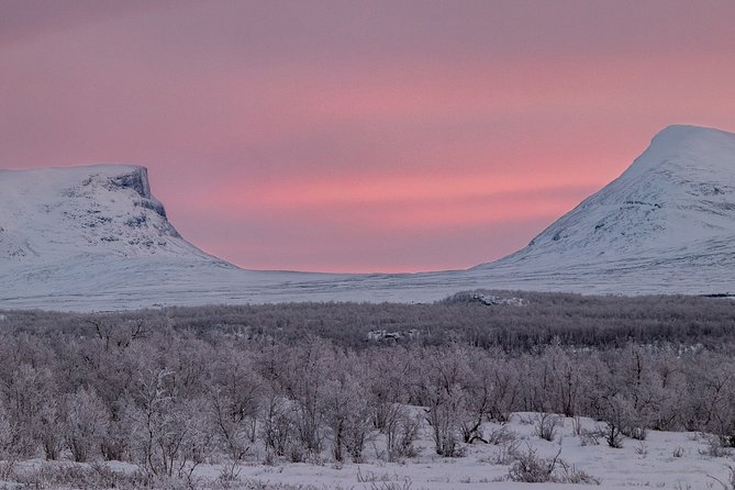 Morning hike in Abisko National Park - Who will enjoy this outing most