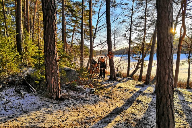 Mountain Biking Small-Group in Stockholm Forests for Beginners - Who should choose this ride?