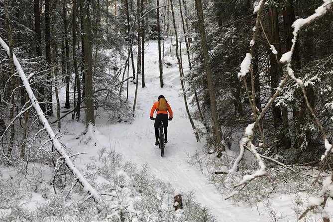 Mountain Biking Small-Group in Stockholm Forests for Beginners - Lunch and Swedish fika on the route
