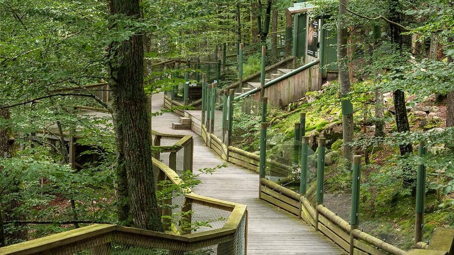 Nordens Ark Entry Ticket - Exploring the wildlife area