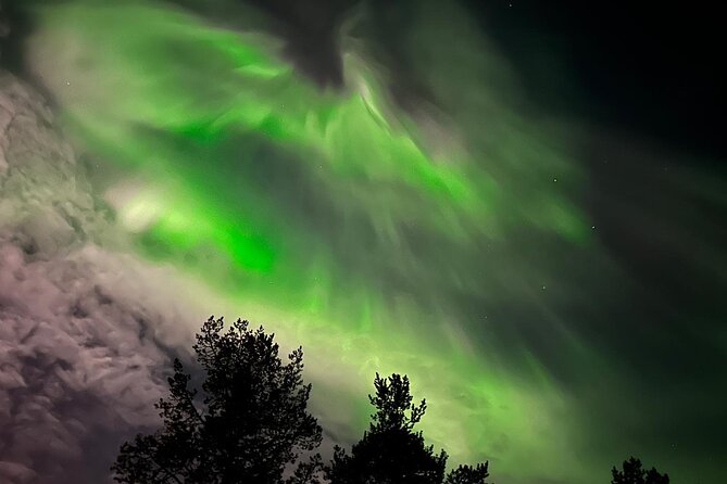 Northern Light hunt with minibus to Abisko 7:30 pm - Abisko Canyon and Lapporten after dark