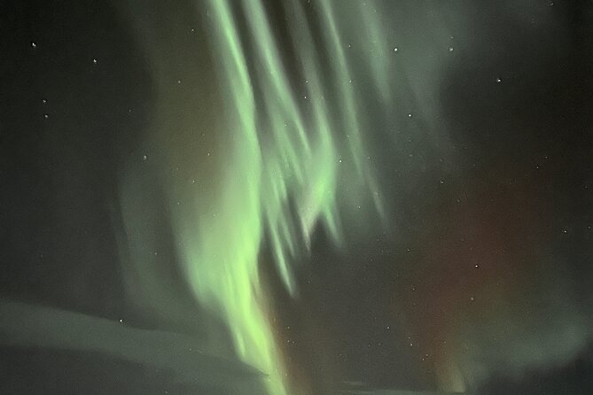 Northern Light hunt with minibus to Abisko 7:30 pm - Photography help and setting expectations