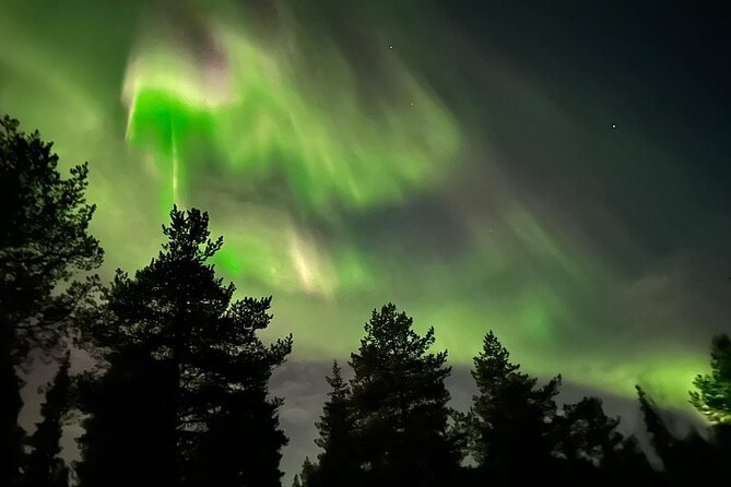 Northern Light hunt with minibus to Abisko 7:30 pm - Guide quality can shape the night