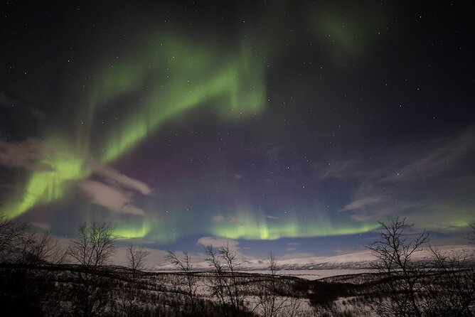 Northern Light Photo tour - Who will get the most from this outing