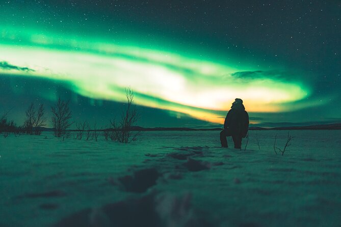 Northern Lights Photo Expedition Dinner Included from Abisko - What the photos included really mean