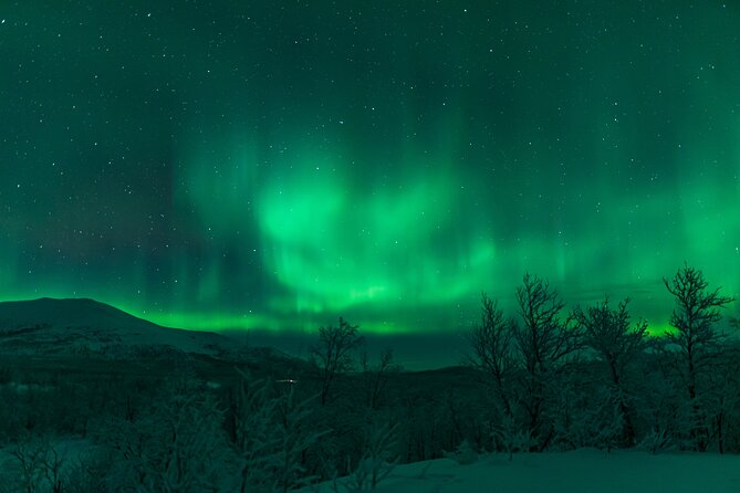 Northern Lights Tour from Kiruna to Abisko with Dinner - Why Abisko gives this tour a strong starting point