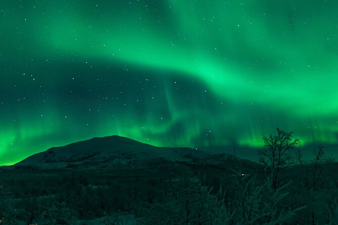 Northern Lights Tour from Kiruna to Abisko with Dinner - The aurora search in Abisko National Park